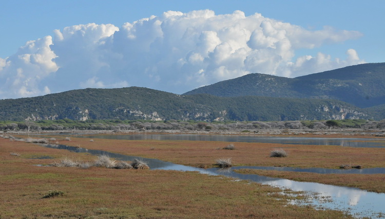 Da Alberese a Bocca d''Ombrone